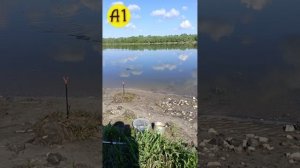 Рыбалка на Дону
#топыкатегорий