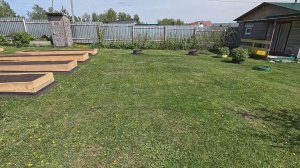 Газон без вложений и без засеивания