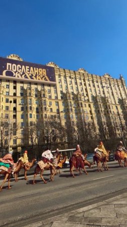 Настоящий караван верблюдов в Москве!