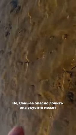 Почему мужчины долго не живут😁