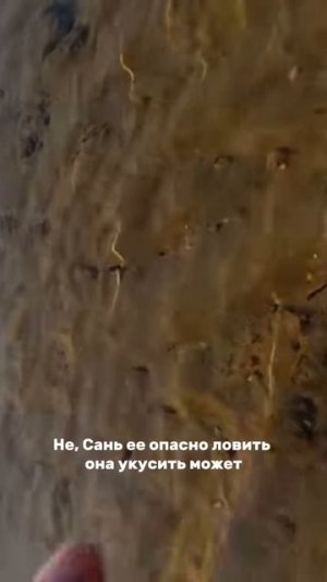 Почему мужчины долго не живут😁