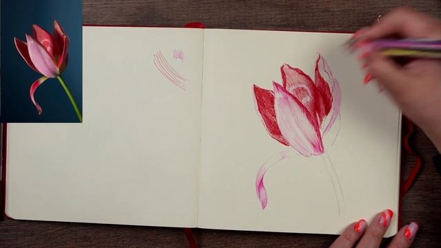 Бесплатный вебинар по скетчингу цветными ручками «Тю? смотреть онлайн