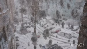 Неожиданно снежно/ все мысли о еде/ гудок паровоза Победы