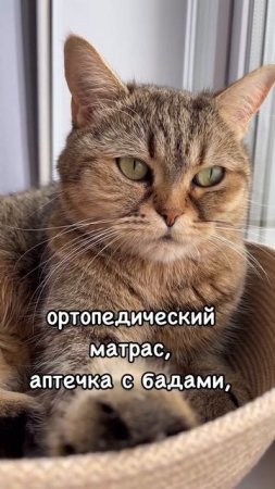 К 40 годам я поняла, Что настоящая богатства-это