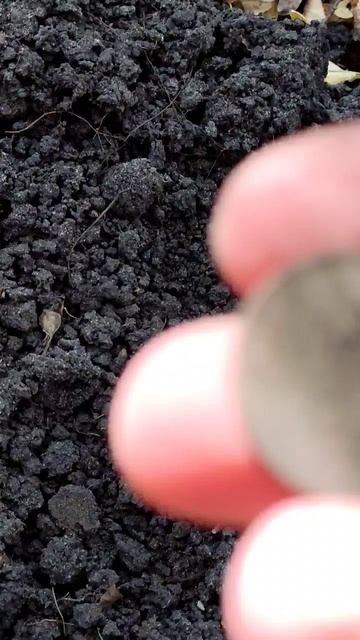 Нашел с металлоискателем красивую монету времен СССР смотреть онлайн