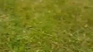 Различные способы проброса мяча между ног !