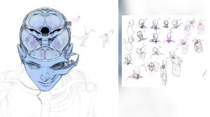 АНАТОМИЯ ДЛЯ ХУДОЖНИКОВ - ПРЕКРАТИ ЕЁ «УЧИТЬ», РИСУЙ!