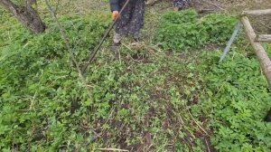 Под зеленью много мусора. Надо всё убрать