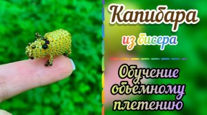 Капибара из бисера / обучение объёмному плетению из бисера / #топыкатегорий / бисероплетение /