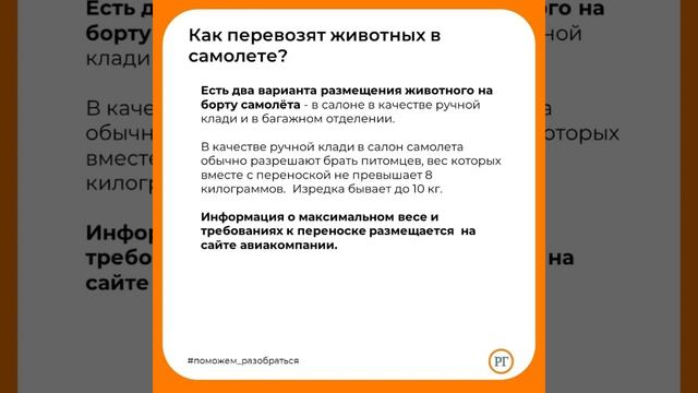 Юрист Themis: Как путешествовать с животными на самолете ?/28.06.22