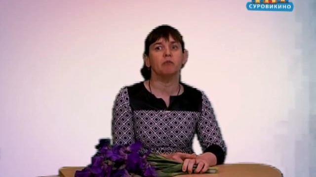 С праздником Победы! смотреть онлайн