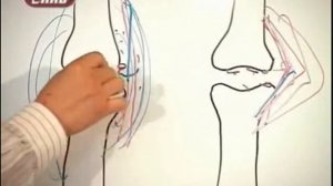 Забота о суставах. Турманиевые наколенники NM-70