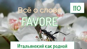 Всё об итальянском слове FAVORE и о глаголе FAVORIRE – 110