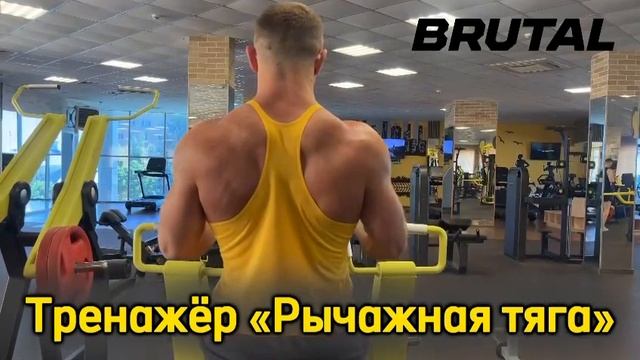 Инструкция использования тренажера "Рычажная тяга" от
