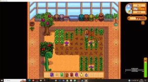 Запах дождя перед бурей (Stardew Valley). Tankodilo Bombordiro