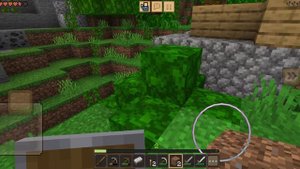 играю в Minecraft