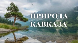 Природа России