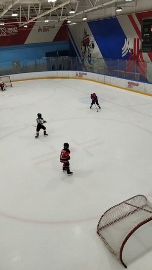 хоккей