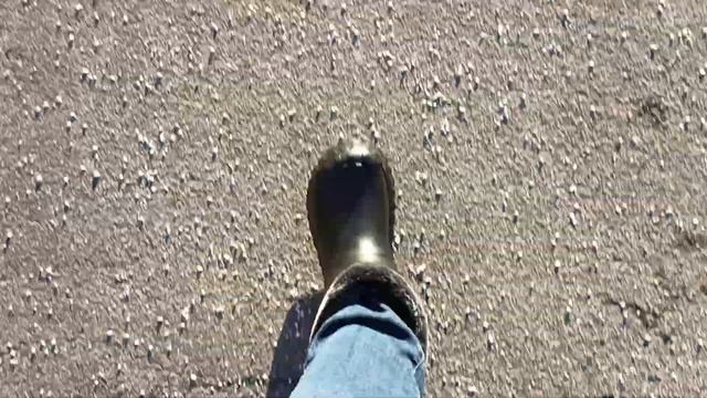 сапоги-вездеходы смотреть онлайн