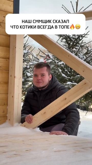 Котики сказал СММщик #ель #ландшафтныйдизайн #питомни?