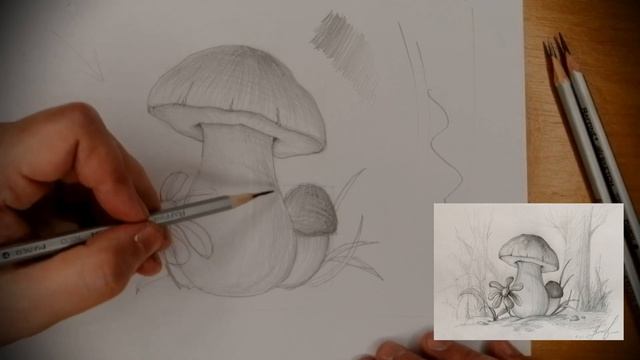 Как нарисовать гриб для начинающих смотреть онлайн