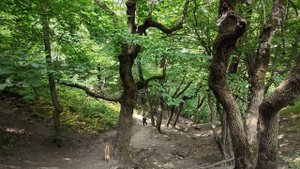 На Бештау из Лермонтова