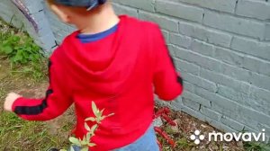 Сказочная красота из отходов.