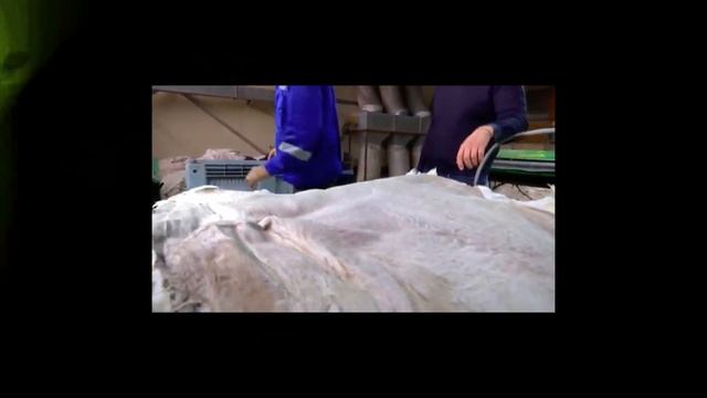 Почему их все носят? Обзор Adidas Samba Wales Bonner! смотреть онлайн