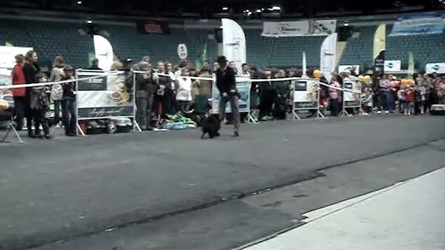 MOV04164.MPG Тамила Бутримова и шпиц Боба смотреть онлайн