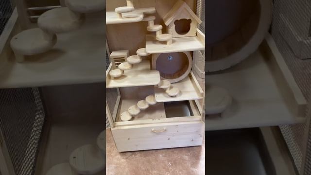 Витрина для грызунов смотреть онлайн