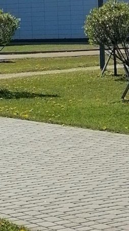 VID_20250519_095039
