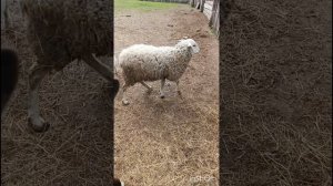 наши новости