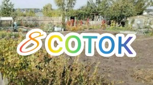 8 соток life/ДОСТРАИВАЕМ ОГУРЕЧНИК//ОГОРОДНИЧЕСТВО//ОТКАПАЛИ ДВУХ ЛЯГУШЕК//КУКУШКА ПРИЛЕТЕЛА В ГОСТИ