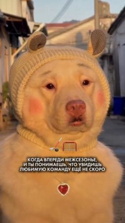 -5296663583466475186