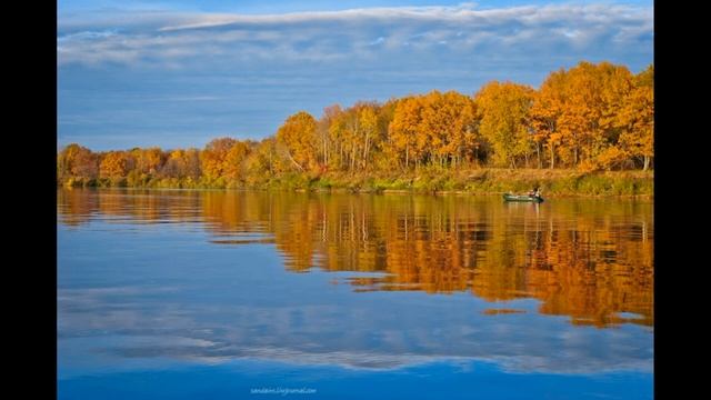 Вон в небе журавли смотреть онлайн
