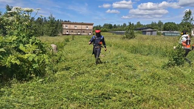 Покос бурьяна с женой, Stihl fs-561, Stihl fs-491 смотреть онлайн