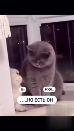 Взгляд мужа сиди дома