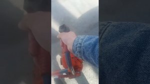 бензопила хускварна 262 цена 15.000 тр