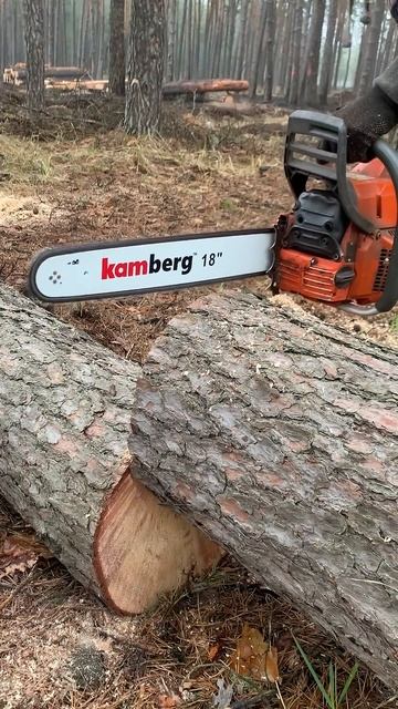 1 квітня 2025 р. смотреть онлайн