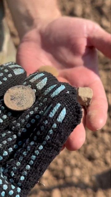 Находки на распаханной усадьбе 🔥 Поиск с металлоиска смотреть онлайн