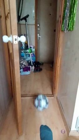 волшебный мяч.