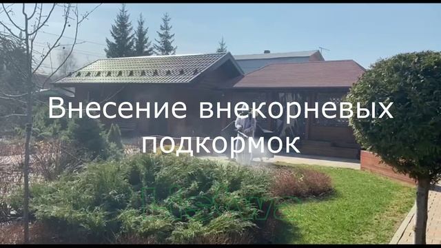 Обработка сада от вредителей и болезней