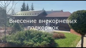 Обработка сада от вредителей и болезней