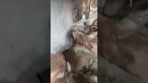 ЗАМЕНА ЗАДНЕЙ БАЛКИ ГОЛЬФ 4 В ДОМАШНИХ УСЛОВИЯХ