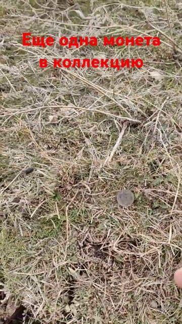 Монета 1924г #металлоискатель #коп #металошукач #coin #моне смотреть онлайн