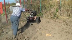 Осенние работы с помощью мотоблока МКМ 3 в 2024 году