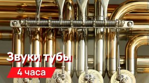 Звуки для соседей - звуки тубы с промежутками