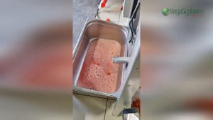 Соковыжималка Vega J 500 выжимка сока из овощей и фруктов