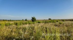 Муж подарил жене шампунь, а любовнице дорогой телефон.