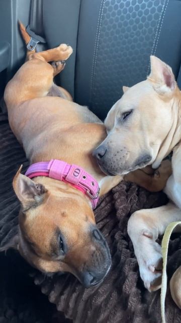 Я всё ещё верю в любовь 